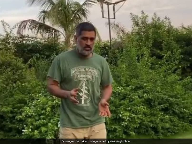 रांची में आज से शुरू होगा झारखण्ड टी 20 लीग का महासंग्राम - header image